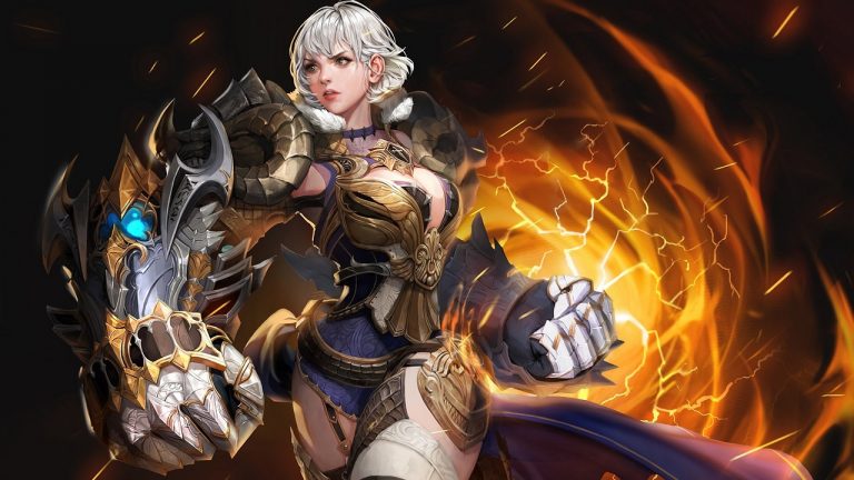 Tera Brawler